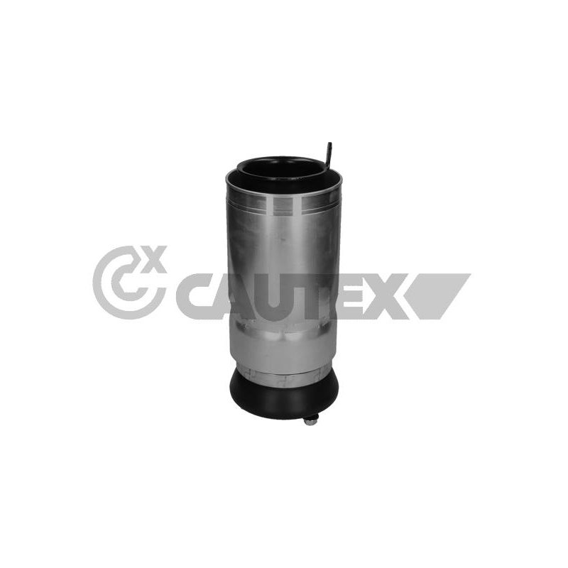 Ammortizzatore asse anteriore - CAUTEX GOMMA E PARTI MOTORE