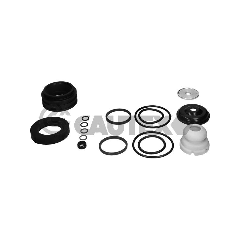 Ammortizzatore asse anteriore - CAUTEX GOMMA E PARTI MOTORE