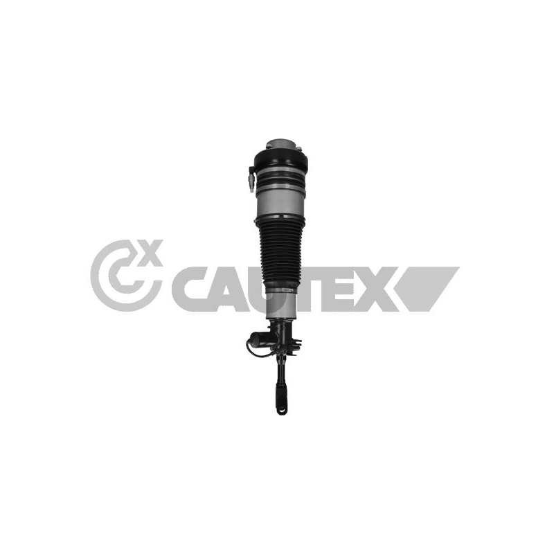 Ammortizzatore asse anteriore - CAUTEX GOMMA E PARTI MOTORE