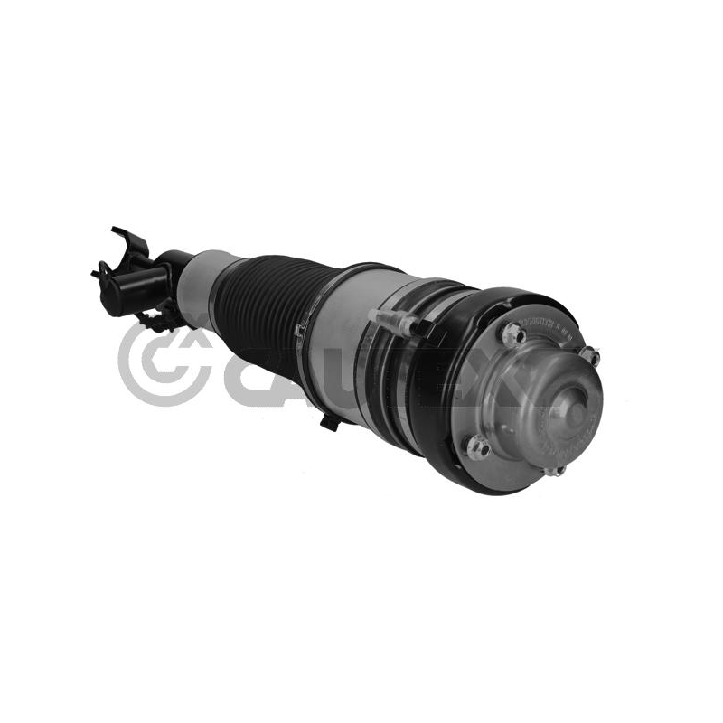 Ammortizzatore asse anteriore - CAUTEX GOMMA E PARTI MOTORE