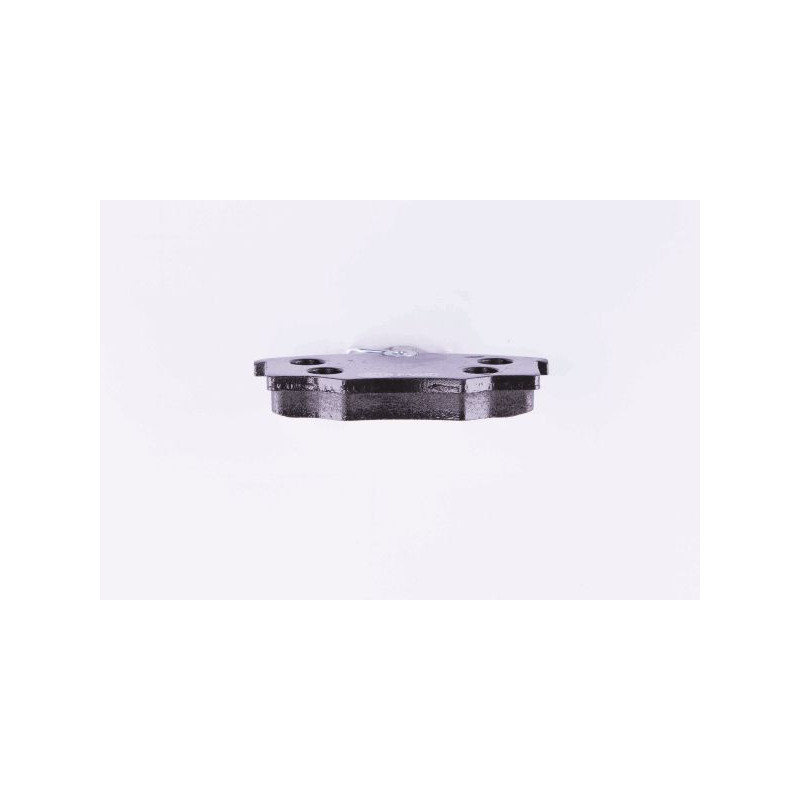 Pastiglie freno asse anteriore - PAGID