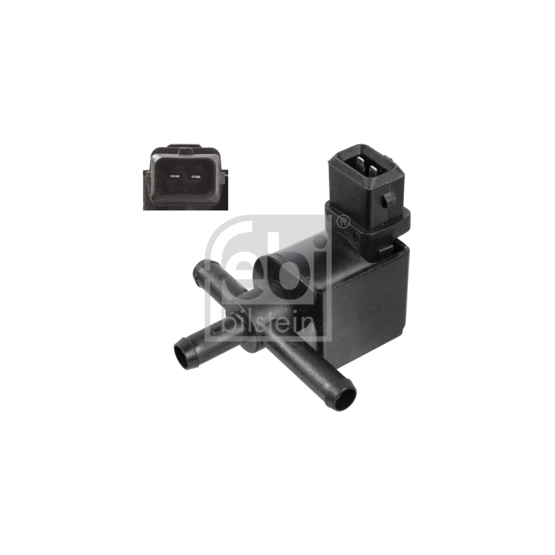 Corpo farfallato - FEBI