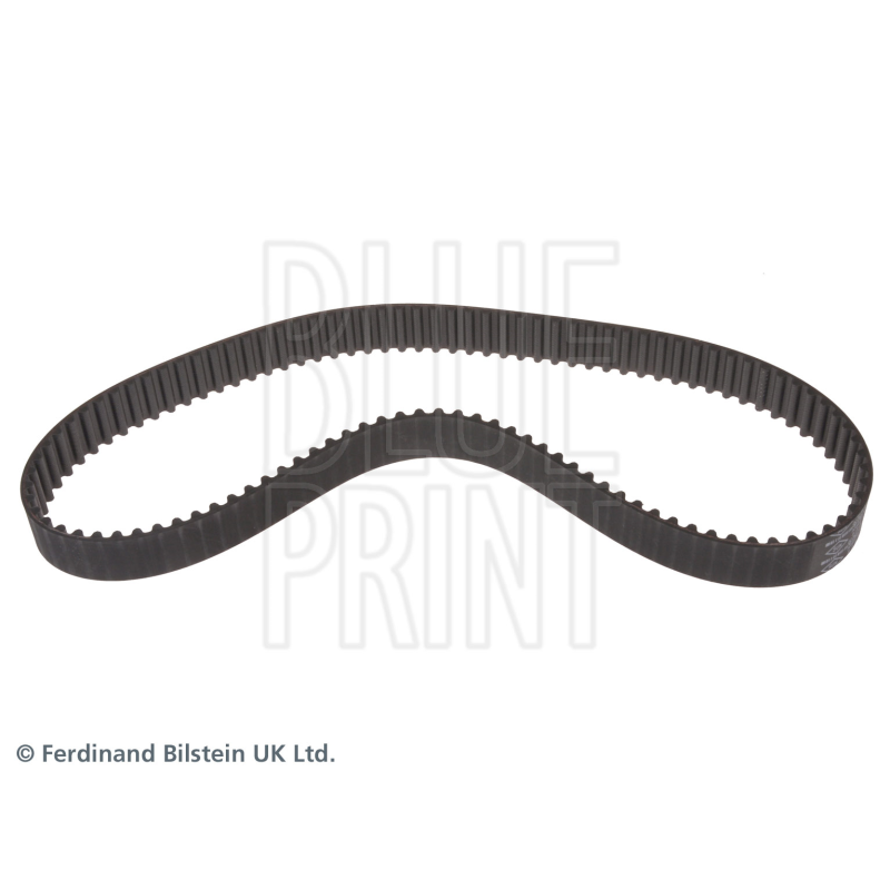 Cinghia/catena distribuzione - BLUE PRINT