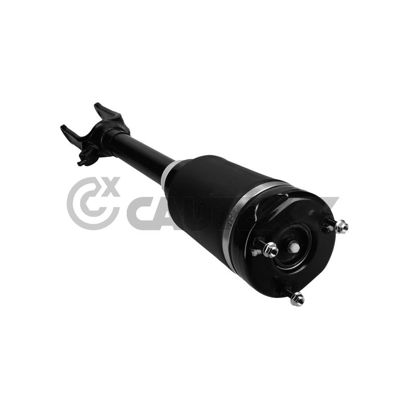 Ammortizzatore asse anteriore - CAUTEX GOMMA E PARTI MOTORE