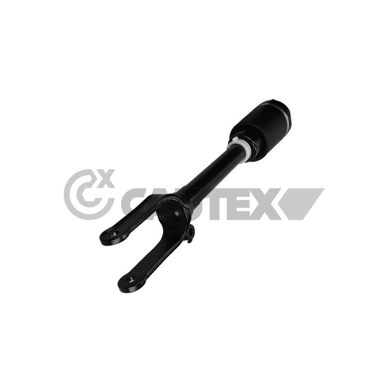 Ammortizzatore asse anteriore - CAUTEX GOMMA E PARTI MOTORE