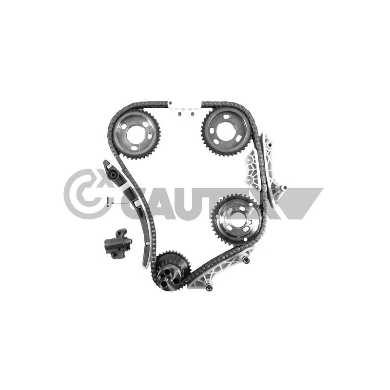 Cinghia/catena distribuzione - CAUTEX GOMMA E PARTI MOTORE
