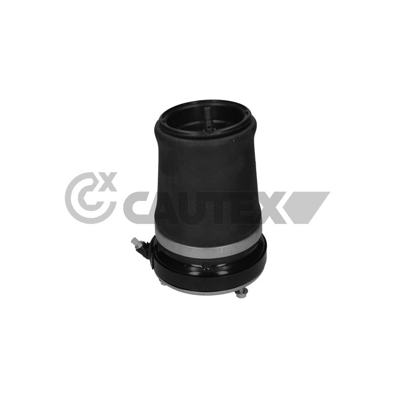 Ammortizzatore asse anteriore - CAUTEX GOMMA E PARTI MOTORE