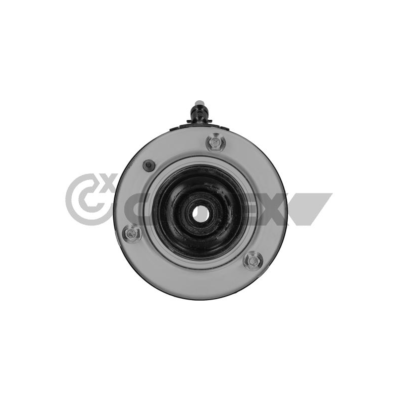 Ammortizzatore asse anteriore - CAUTEX GOMMA E PARTI MOTORE