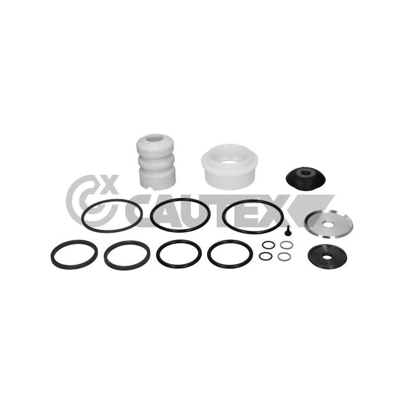 Ammortizzatore asse anteriore - CAUTEX GOMMA E PARTI MOTORE