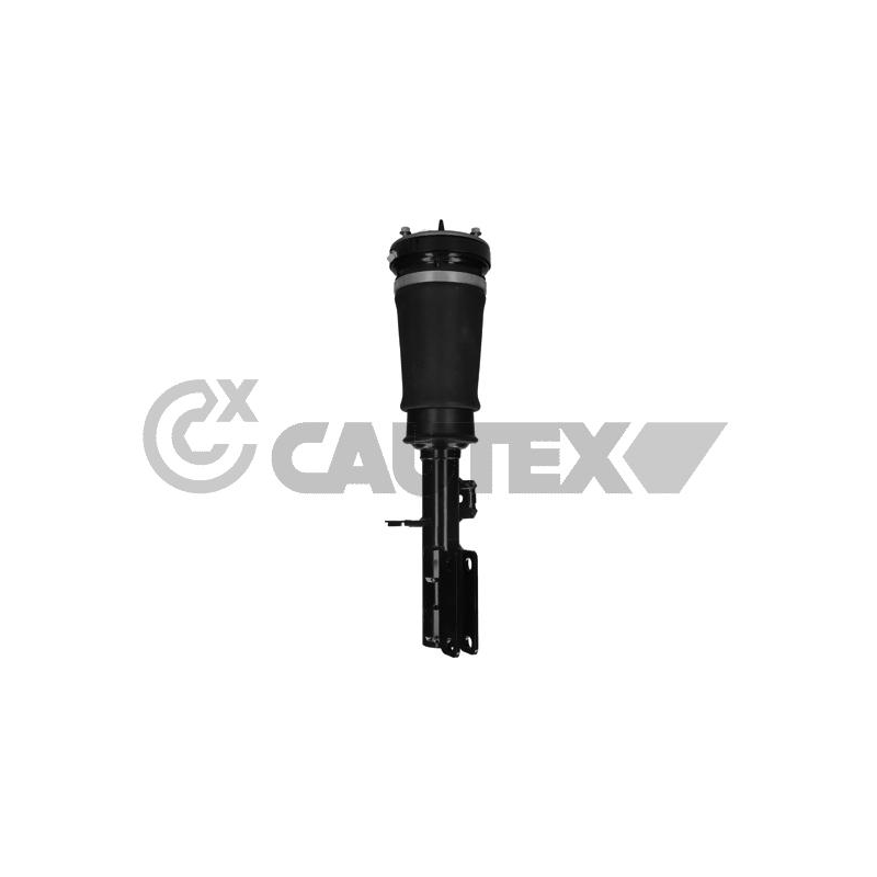 Ammortizzatore asse anteriore - CAUTEX GOMMA E PARTI MOTORE