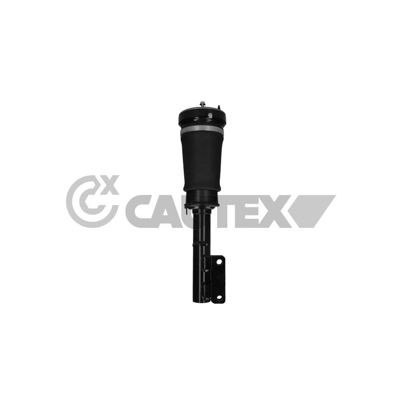 Ammortizzatore asse anteriore - CAUTEX GOMMA E PARTI MOTORE