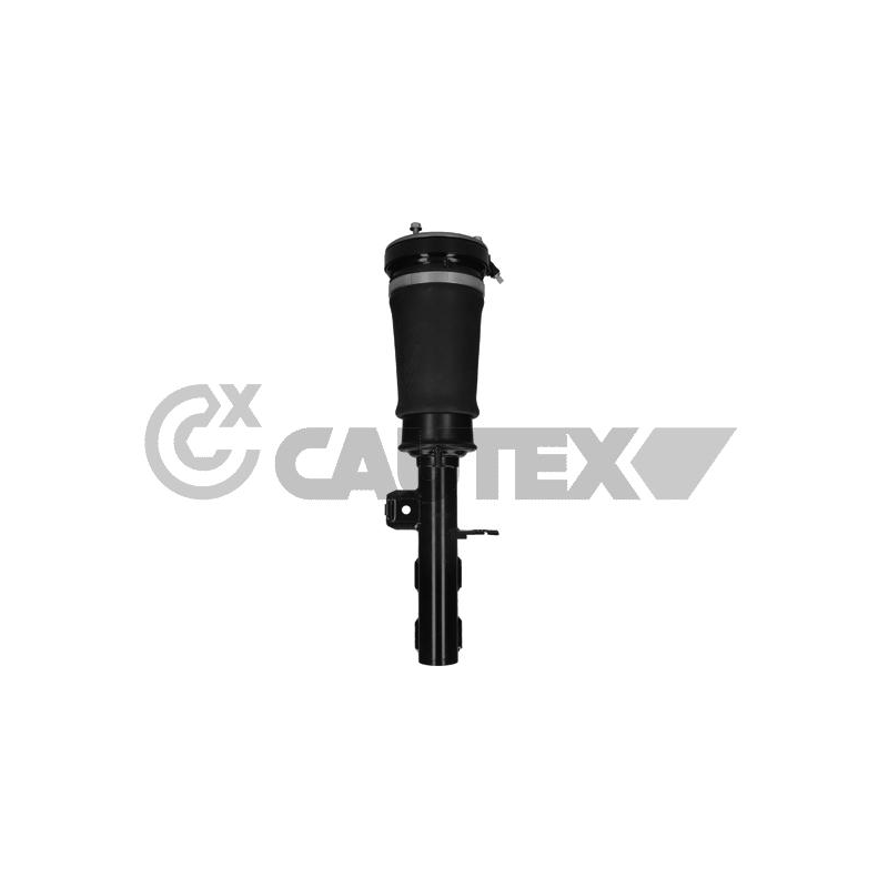 Ammortizzatore asse anteriore - CAUTEX GOMMA E PARTI MOTORE