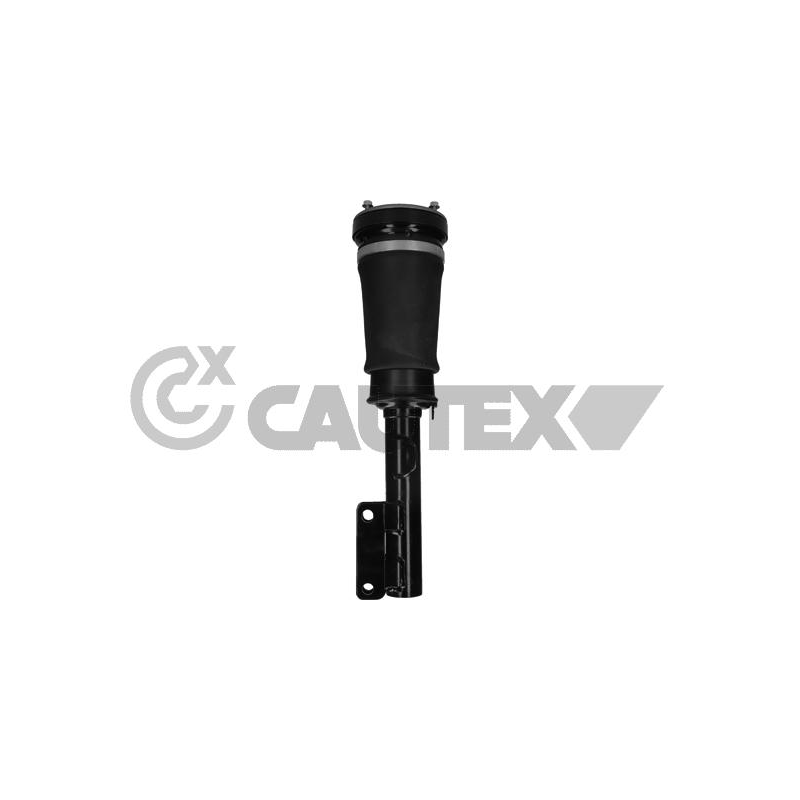 Ammortizzatore asse anteriore - CAUTEX GOMMA E PARTI MOTORE