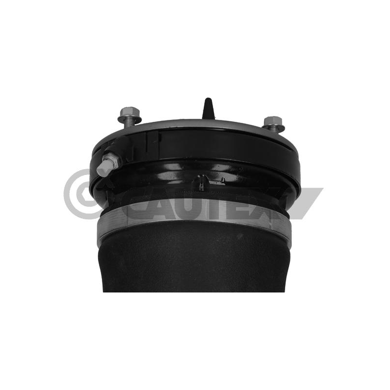 Ammortizzatore asse anteriore - CAUTEX GOMMA E PARTI MOTORE