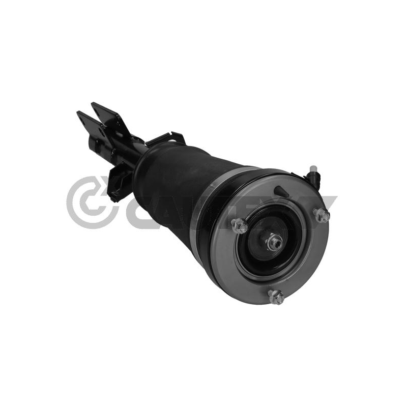 Ammortizzatore asse anteriore - CAUTEX GOMMA E PARTI MOTORE