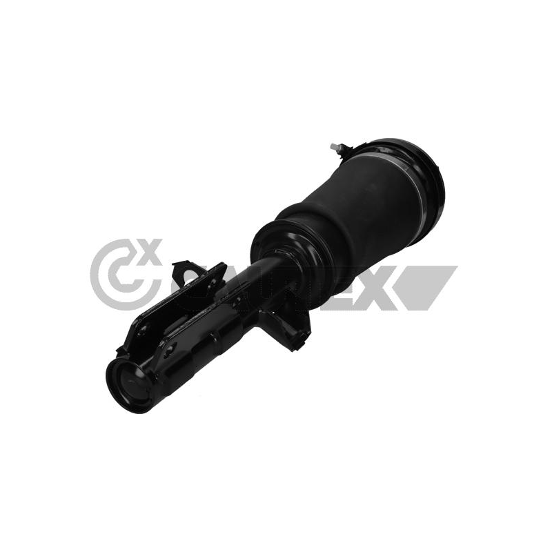 Ammortizzatore asse anteriore - CAUTEX GOMMA E PARTI MOTORE