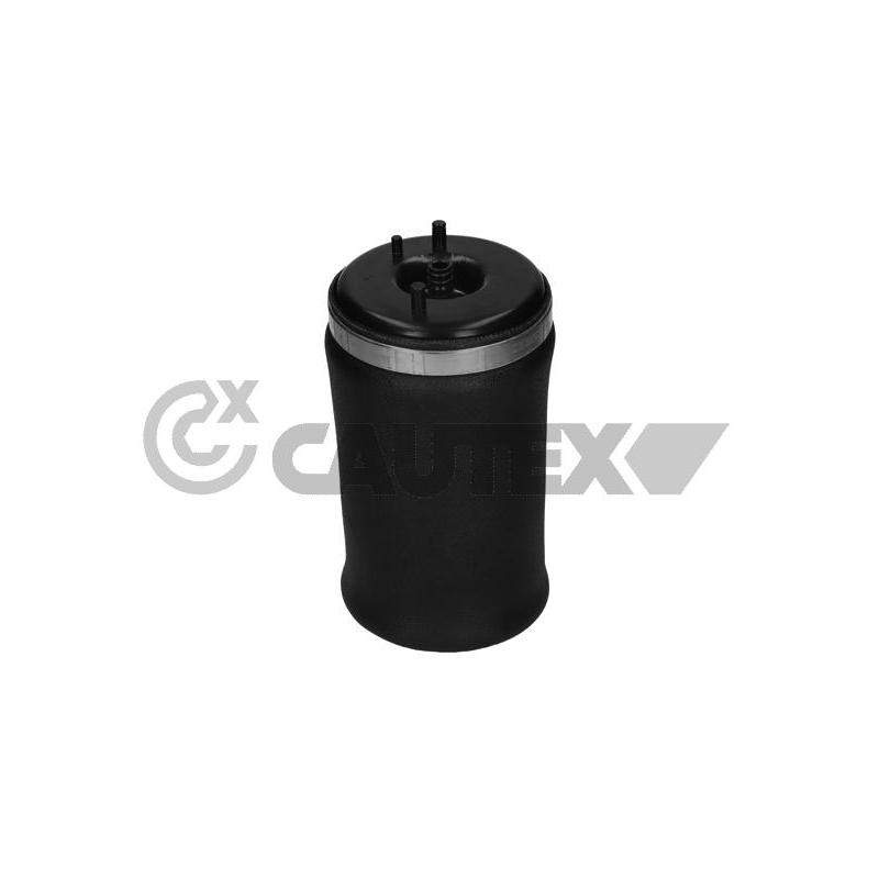 Ammortizzatore asse posteriore - CAUTEX GOMMA E PARTI MOTORE