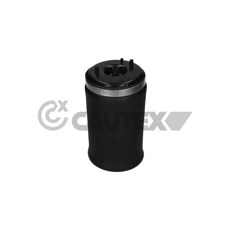 Ammortizzatore asse posteriore - CAUTEX GOMMA E PARTI MOTORE