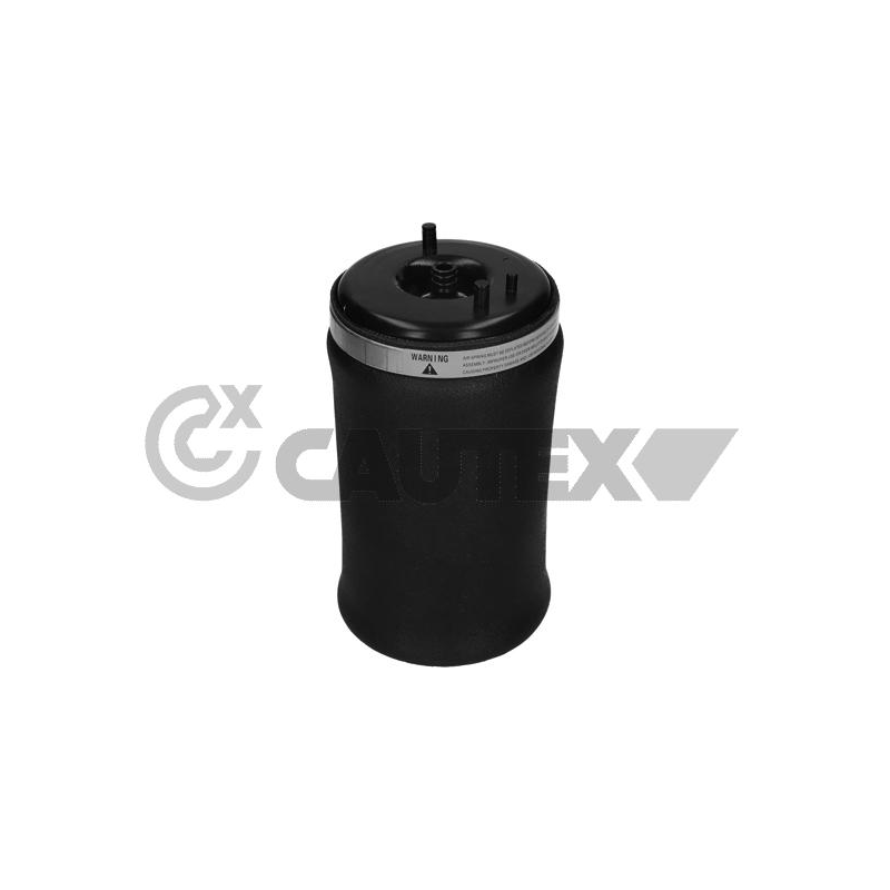 Ammortizzatore asse posteriore - CAUTEX GOMMA E PARTI MOTORE