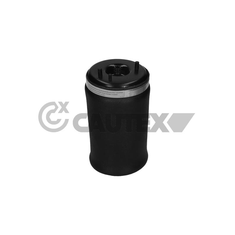 Ammortizzatore asse posteriore - CAUTEX GOMMA E PARTI MOTORE