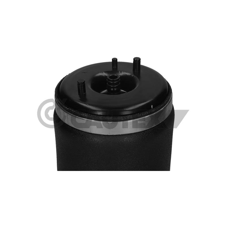 Ammortizzatore asse posteriore - CAUTEX GOMMA E PARTI MOTORE