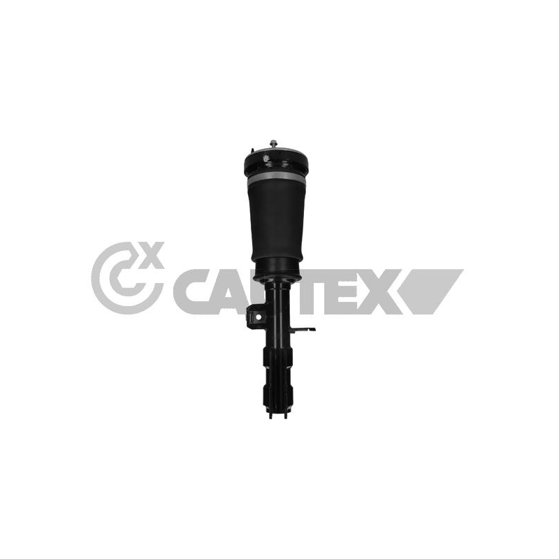 Ammortizzatore asse anteriore - CAUTEX GOMMA E PARTI MOTORE