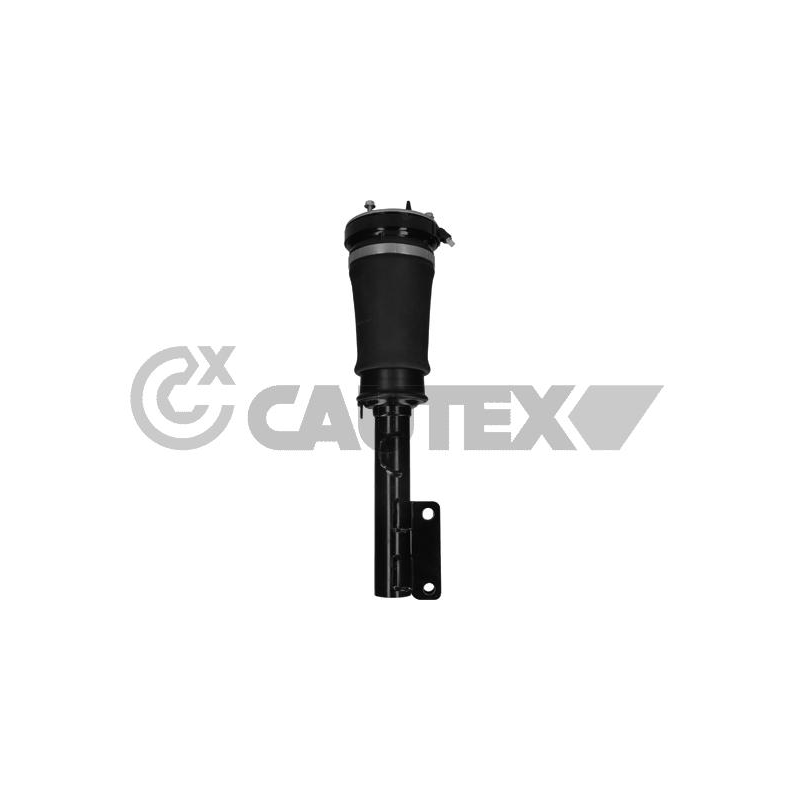 Ammortizzatore asse anteriore - CAUTEX GOMMA E PARTI MOTORE
