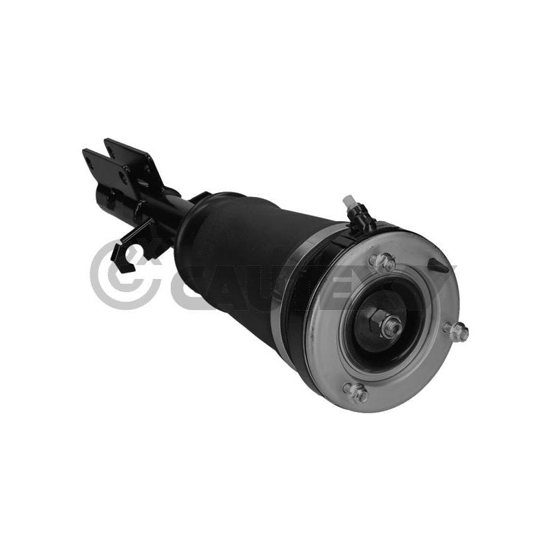 Ammortizzatore asse anteriore - CAUTEX GOMMA E PARTI MOTORE