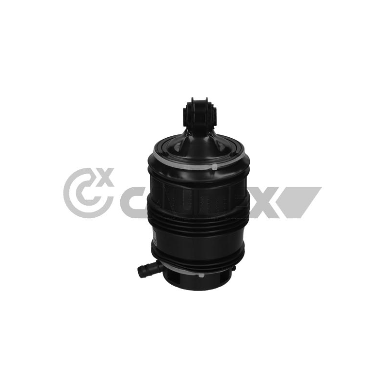 Molla sospensione asse posteriore - CAUTEX GOMMA E PARTI MOTORE