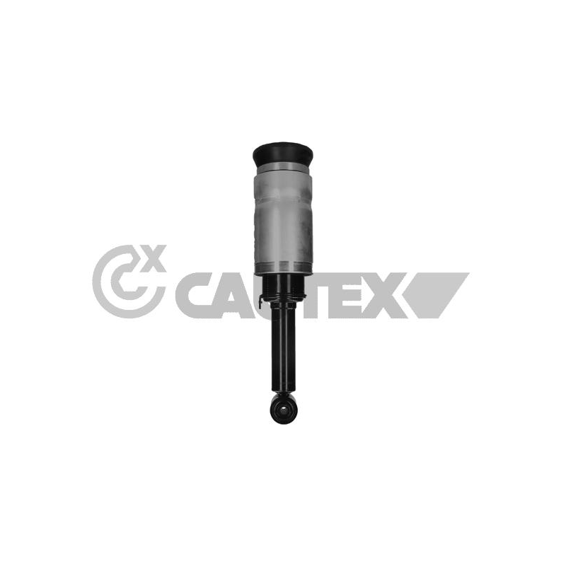 Ammortizzatore asse anteriore - CAUTEX GOMMA E PARTI MOTORE