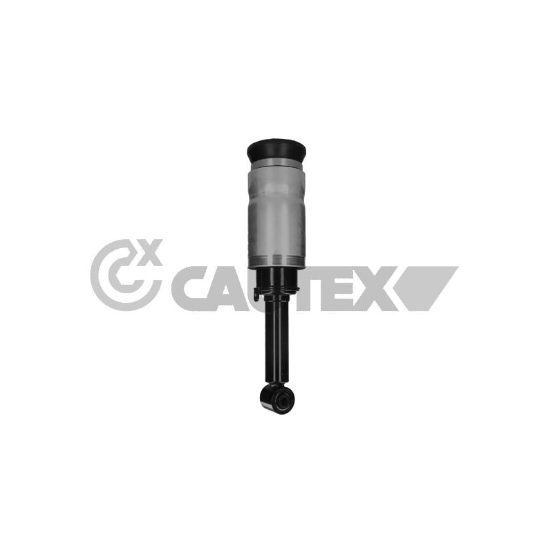 Ammortizzatore asse anteriore - CAUTEX GOMMA E PARTI MOTORE