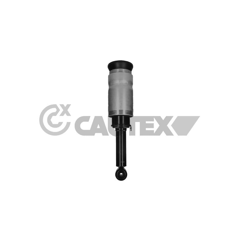 Ammortizzatore asse anteriore - CAUTEX GOMMA E PARTI MOTORE