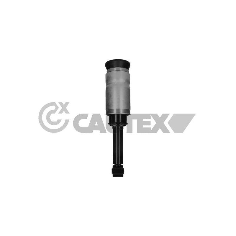 Ammortizzatore asse anteriore - CAUTEX GOMMA E PARTI MOTORE