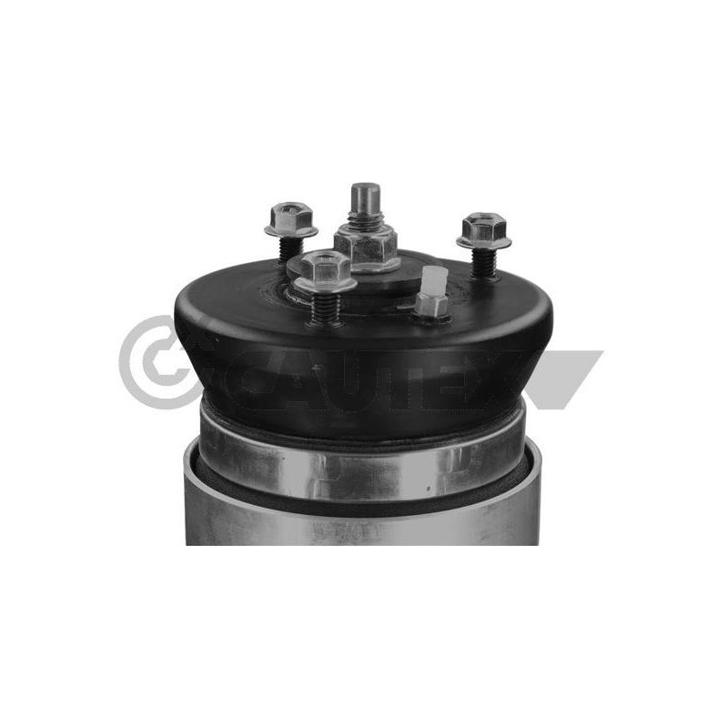 Ammortizzatore asse anteriore - CAUTEX GOMMA E PARTI MOTORE