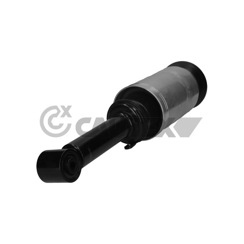 Ammortizzatore asse anteriore - CAUTEX GOMMA E PARTI MOTORE