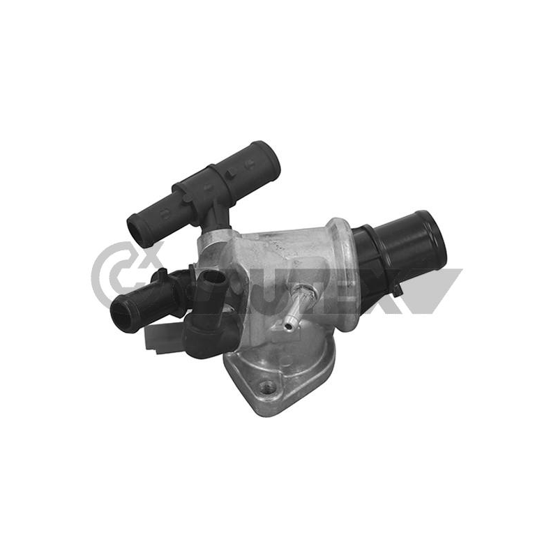 Termostato raffreddamento - CAUTEX GOMMA E PARTI MOTORE