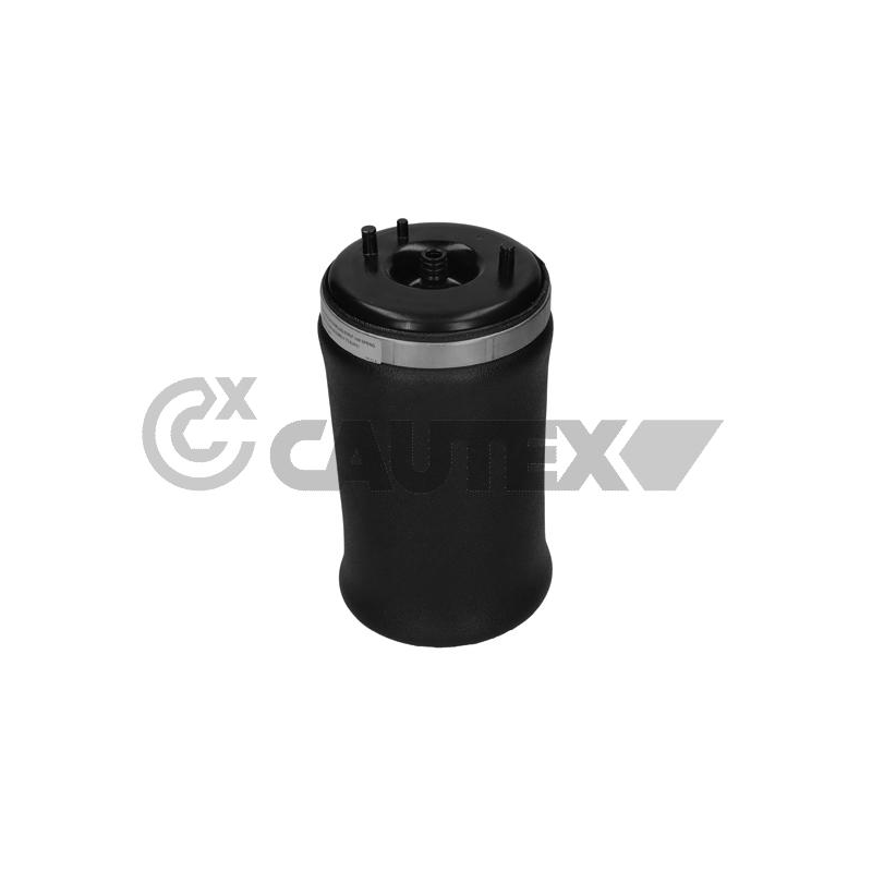 Ammortizzatore asse posteriore - CAUTEX GOMMA E PARTI MOTORE