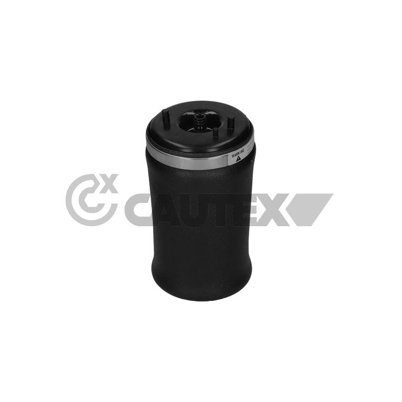 Ammortizzatore asse posteriore - CAUTEX GOMMA E PARTI MOTORE