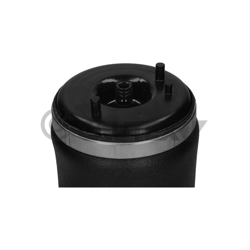 Ammortizzatore asse posteriore - CAUTEX GOMMA E PARTI MOTORE