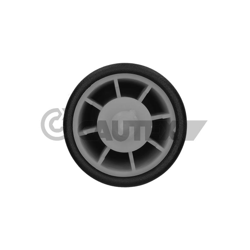 Ammortizzatore asse posteriore - CAUTEX GOMMA E PARTI MOTORE