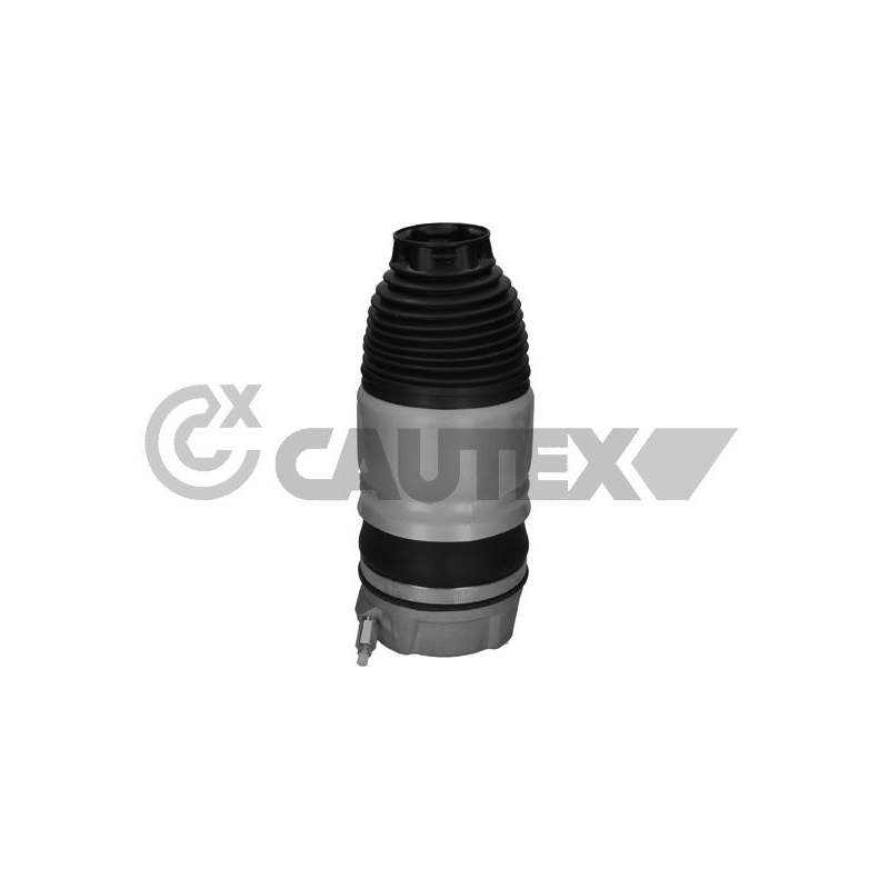 Ammortizzatore asse anteriore - CAUTEX GOMMA E PARTI MOTORE