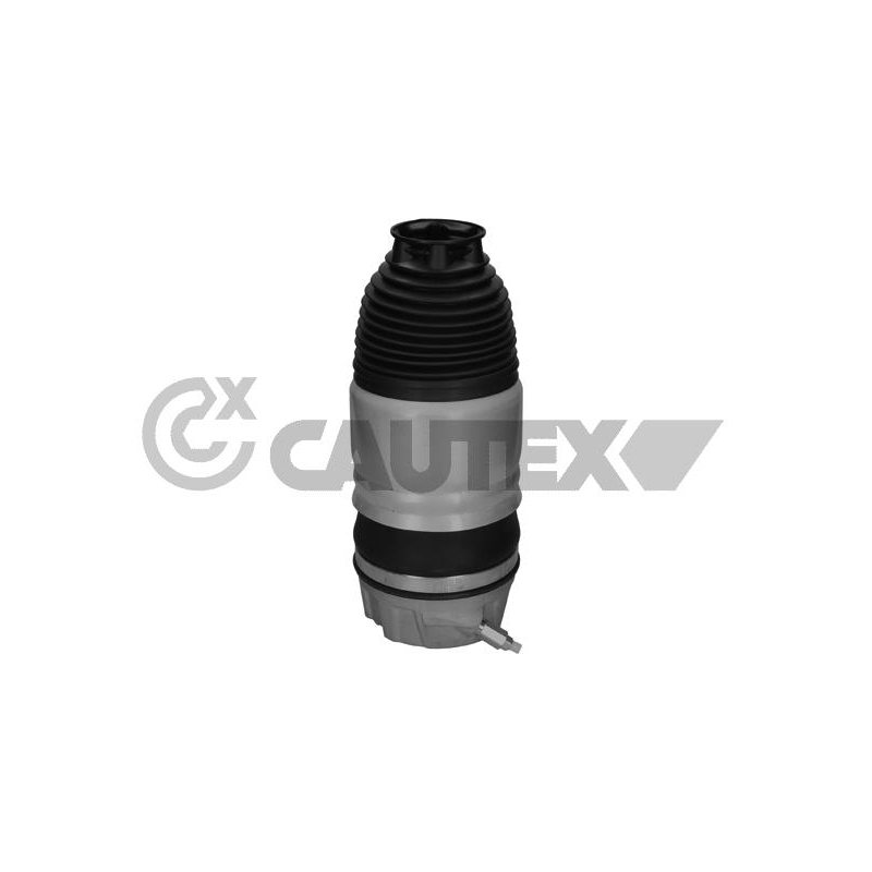 Ammortizzatore asse anteriore - CAUTEX GOMMA E PARTI MOTORE