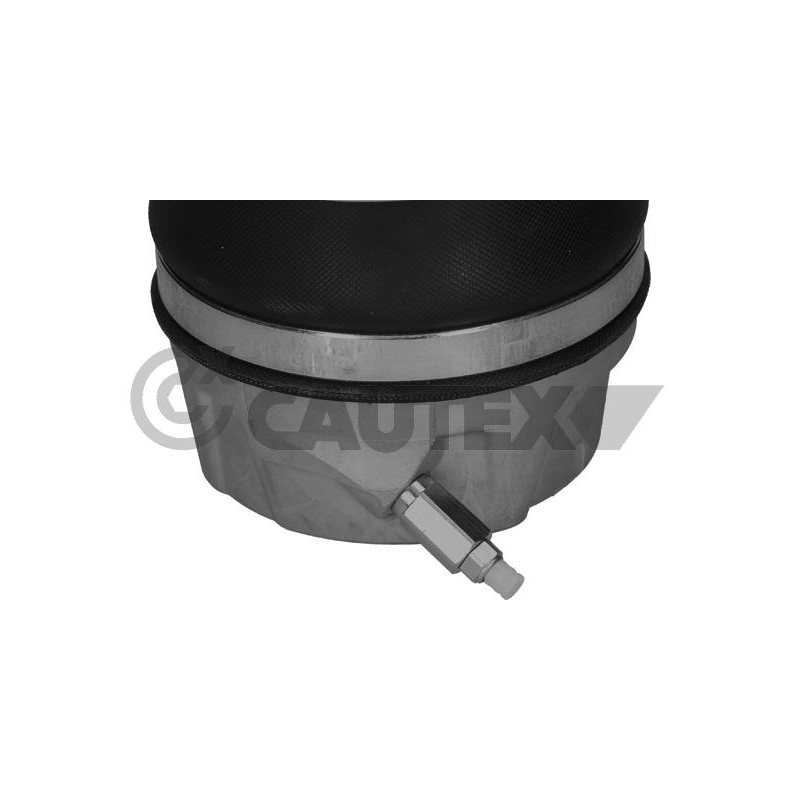 Ammortizzatore asse anteriore - CAUTEX GOMMA E PARTI MOTORE