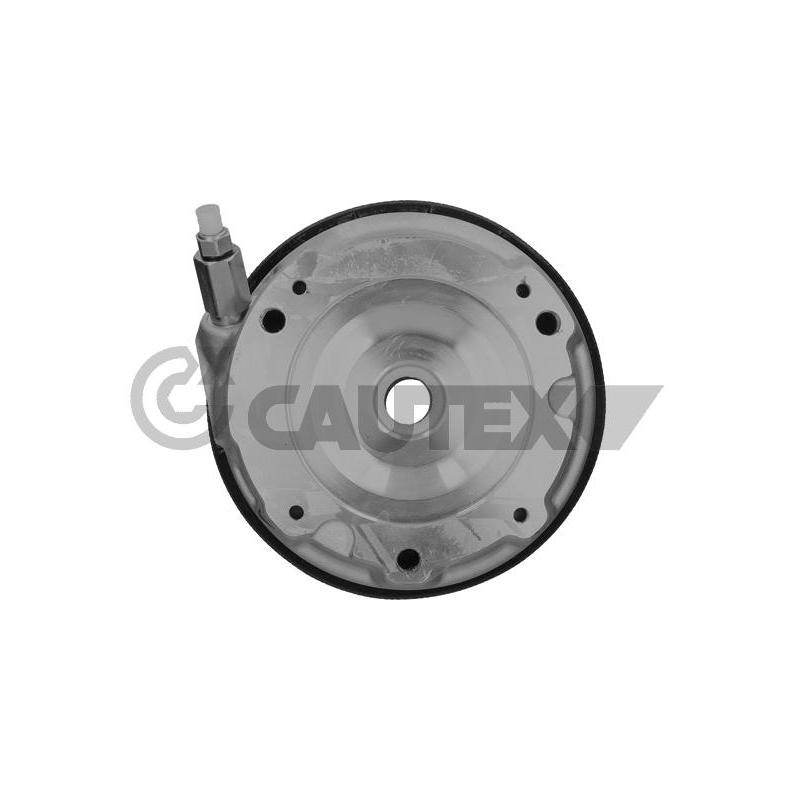 Ammortizzatore asse anteriore - CAUTEX GOMMA E PARTI MOTORE