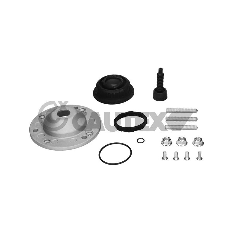 Ammortizzatore asse anteriore - CAUTEX GOMMA E PARTI MOTORE