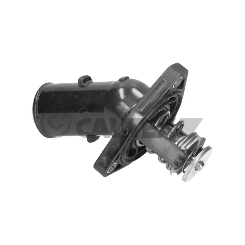 Termostato raffreddamento - CAUTEX GOMMA E PARTI MOTORE