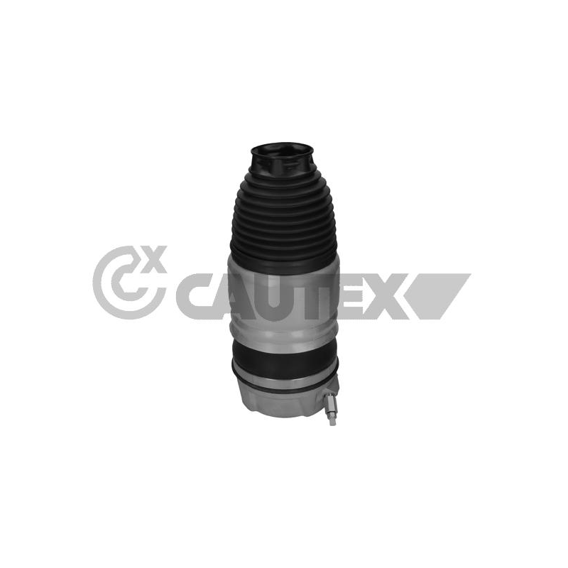 Ammortizzatore asse anteriore - CAUTEX GOMMA E PARTI MOTORE