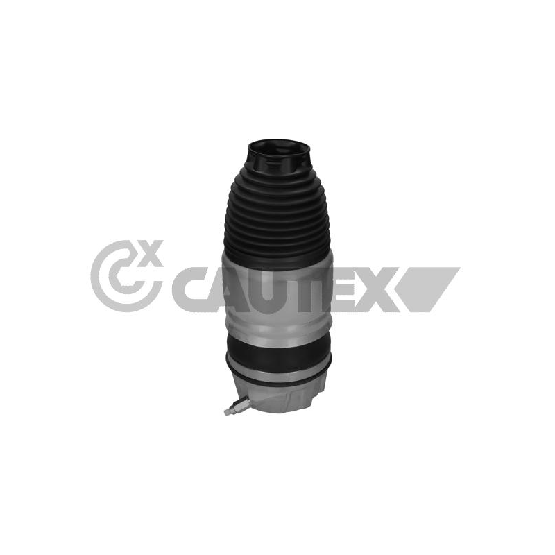 Ammortizzatore asse anteriore - CAUTEX GOMMA E PARTI MOTORE