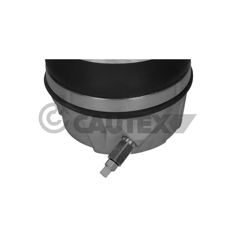 Ammortizzatore asse anteriore - CAUTEX GOMMA E PARTI MOTORE