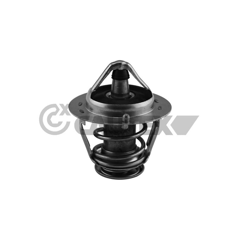 Termostato raffreddamento - CAUTEX GOMMA E PARTI MOTORE